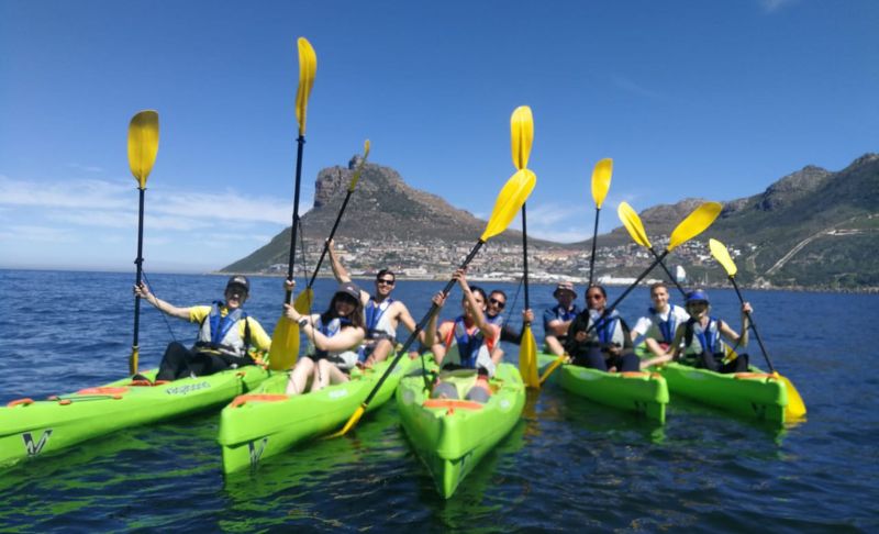 Ahoy, Landlubbers! Paddling Your Way to Adventure: Unveiling the Magic and Might of Kayaks, Kings of the Close Encounter